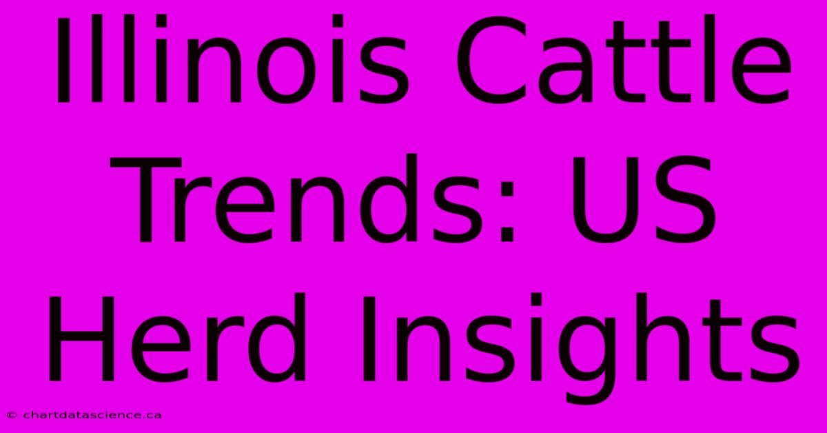 Illinois Cattle Trends: US Herd Insights