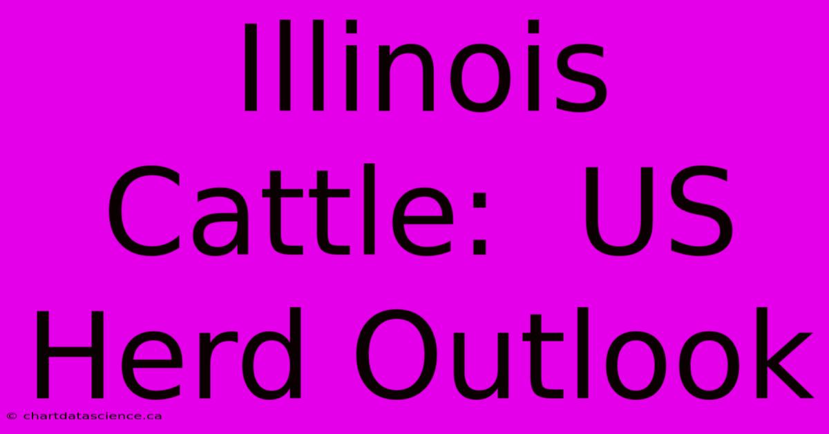 Illinois Cattle:  US Herd Outlook 