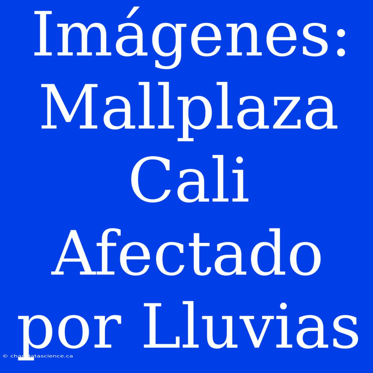 Imágenes: Mallplaza Cali Afectado Por Lluvias