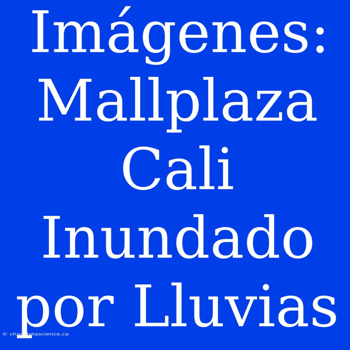 Imágenes: Mallplaza Cali Inundado Por Lluvias