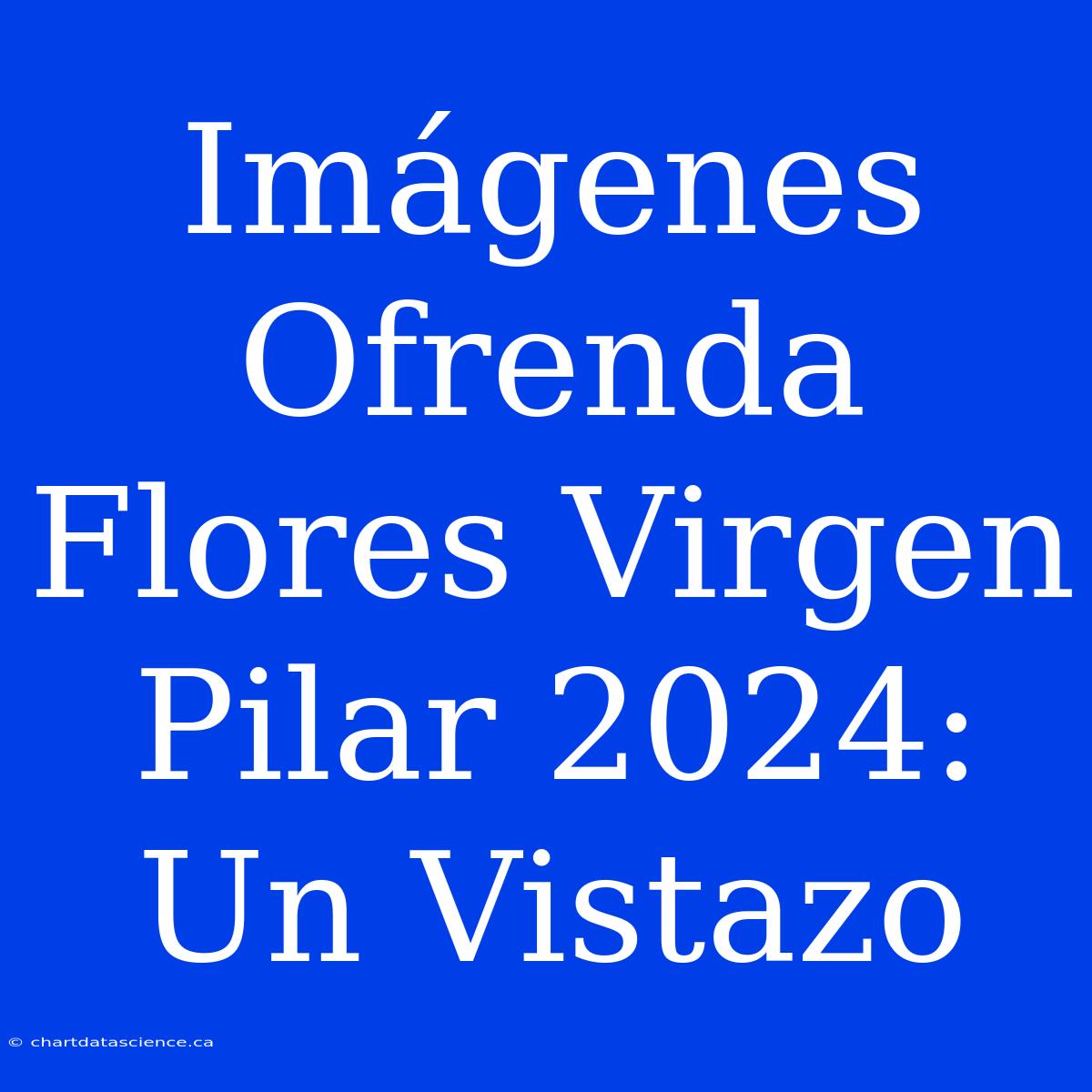 Imágenes Ofrenda Flores Virgen Pilar 2024: Un Vistazo