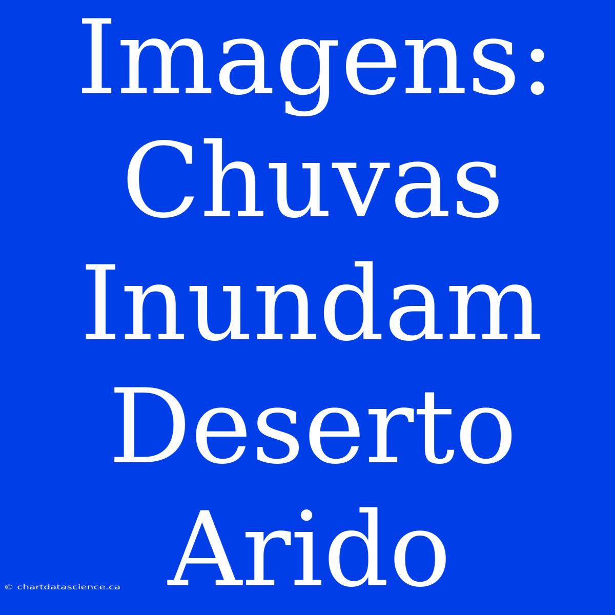 Imagens: Chuvas Inundam Deserto Arido