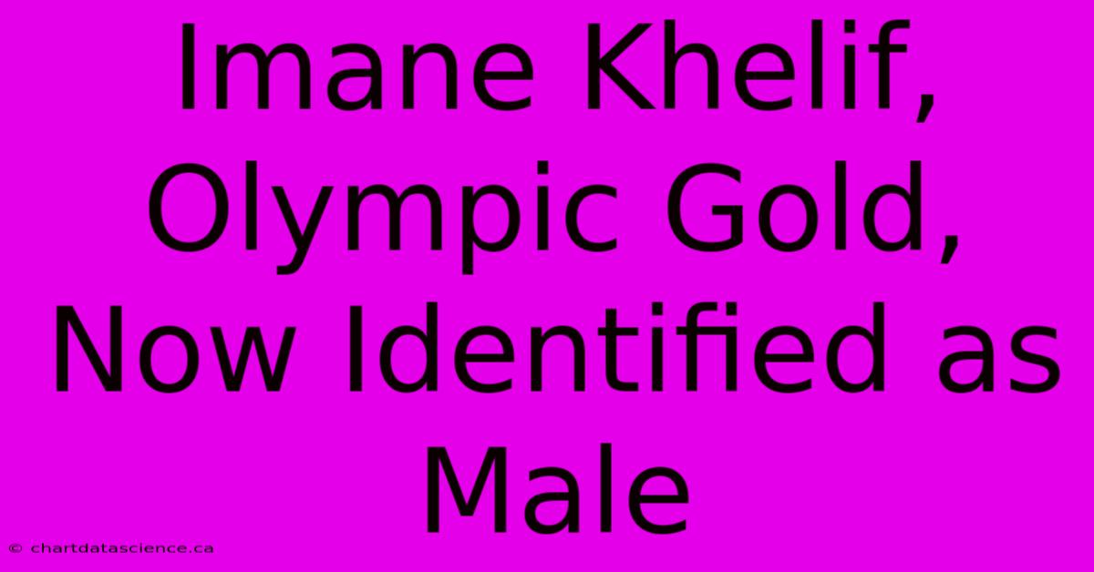 Imane Khelif, Olympic Gold, Now Identified As Male