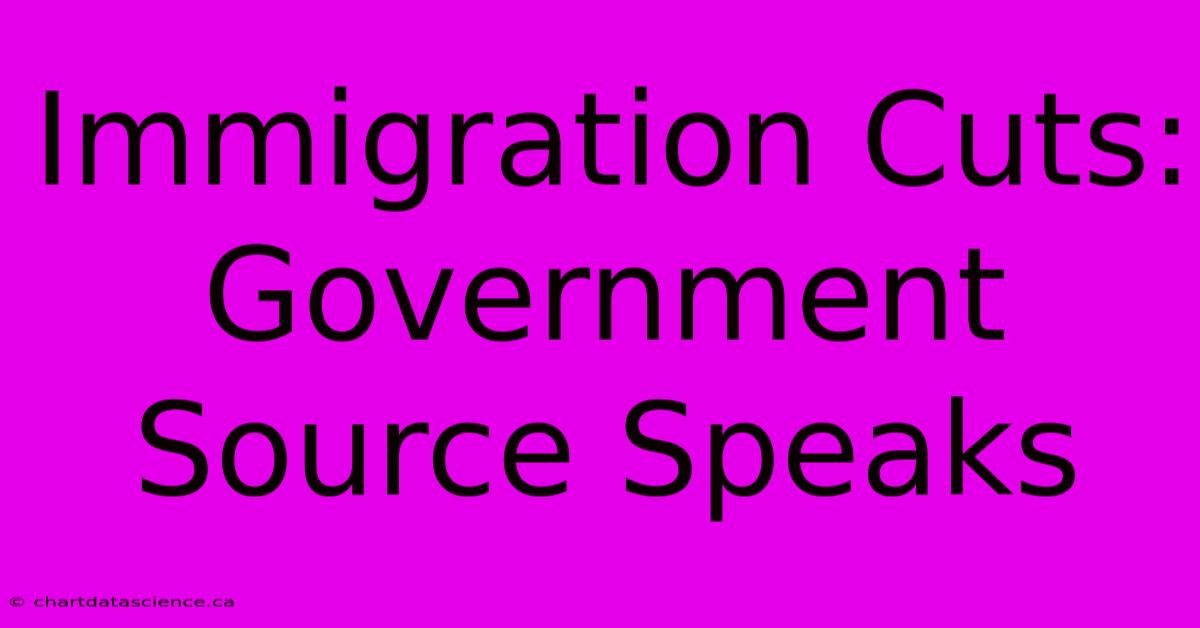 Immigration Cuts: Government Source Speaks