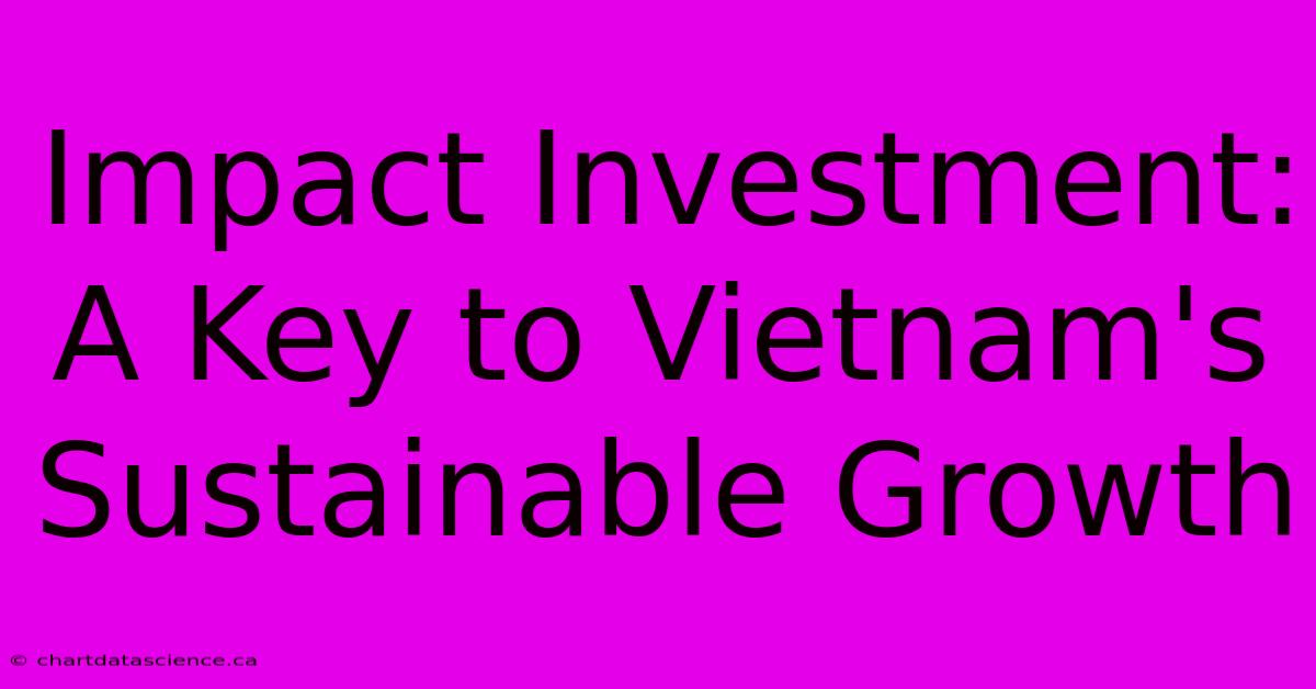 Impact Investment: A Key To Vietnam's Sustainable Growth