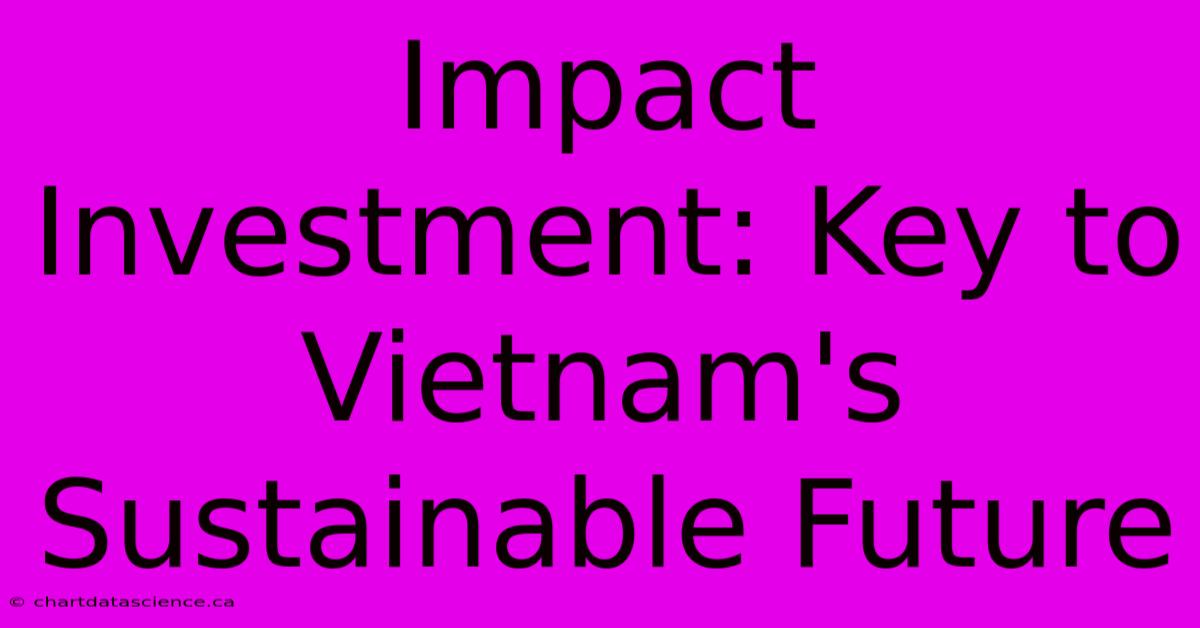 Impact Investment: Key To Vietnam's Sustainable Future