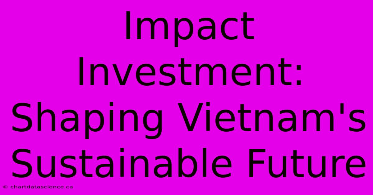 Impact Investment: Shaping Vietnam's Sustainable Future