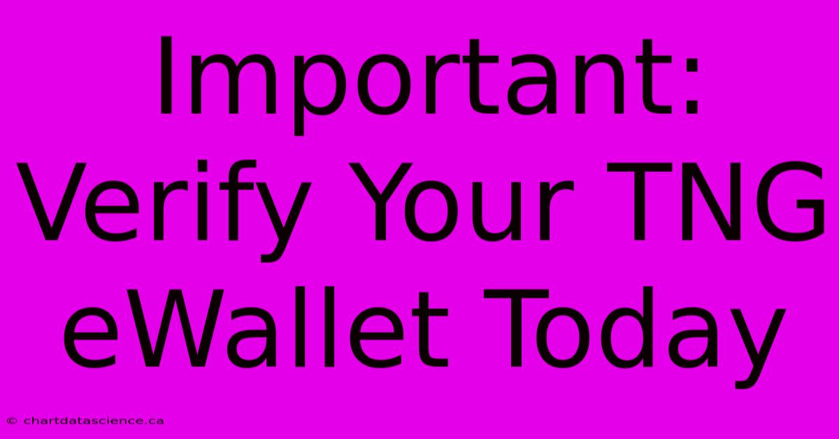 Important: Verify Your TNG EWallet Today