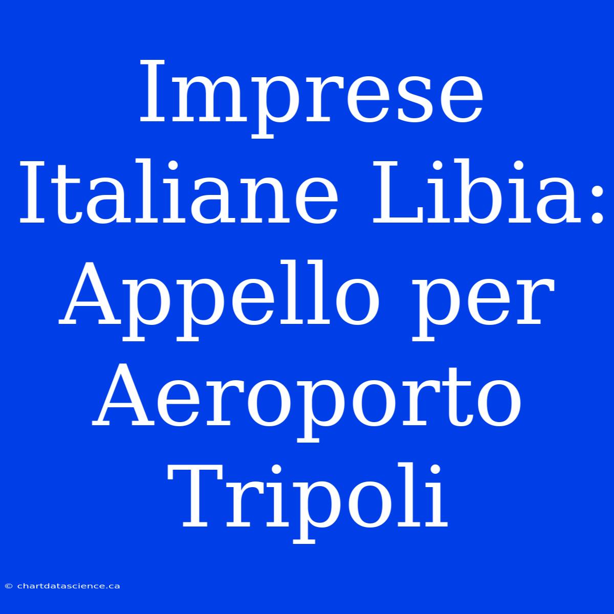 Imprese Italiane Libia: Appello Per Aeroporto Tripoli