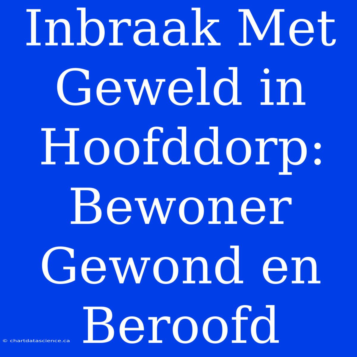 Inbraak Met Geweld In Hoofddorp: Bewoner Gewond En Beroofd