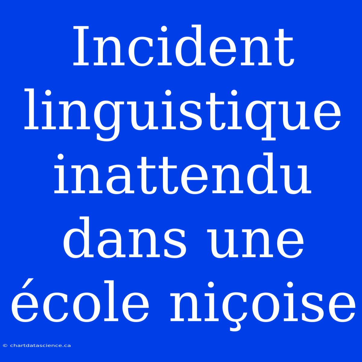 Incident Linguistique Inattendu Dans Une École Niçoise