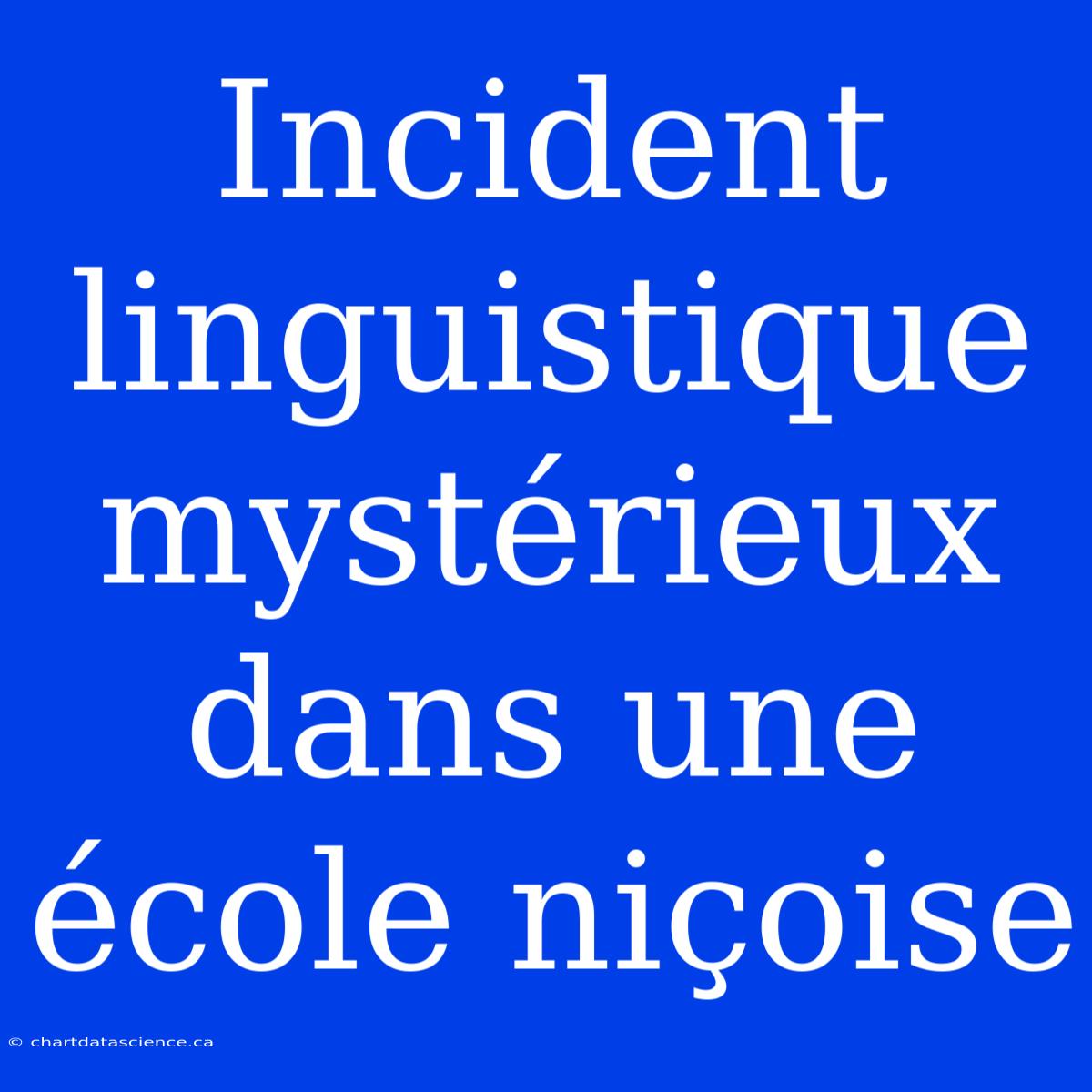 Incident Linguistique Mystérieux Dans Une École Niçoise