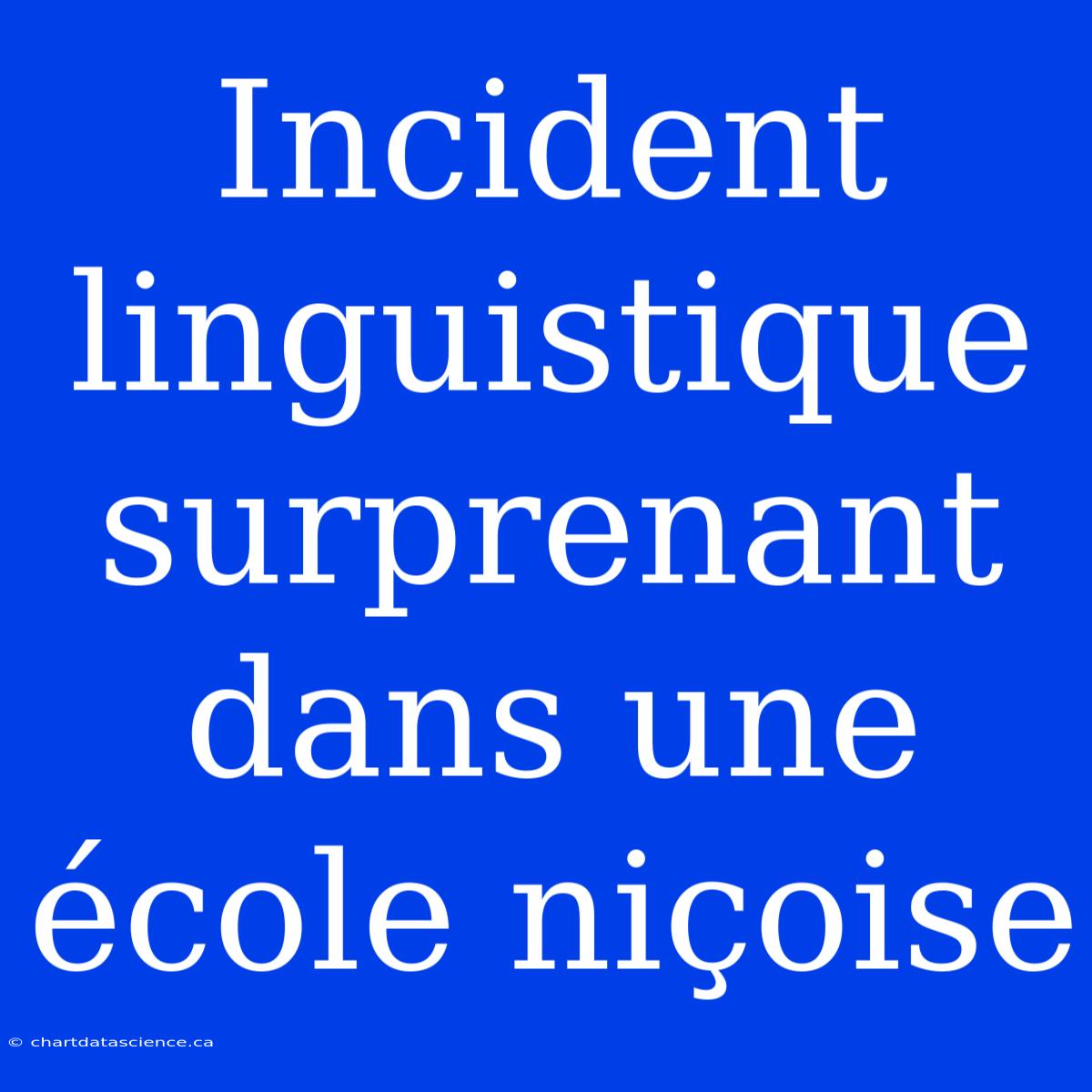 Incident Linguistique Surprenant Dans Une École Niçoise