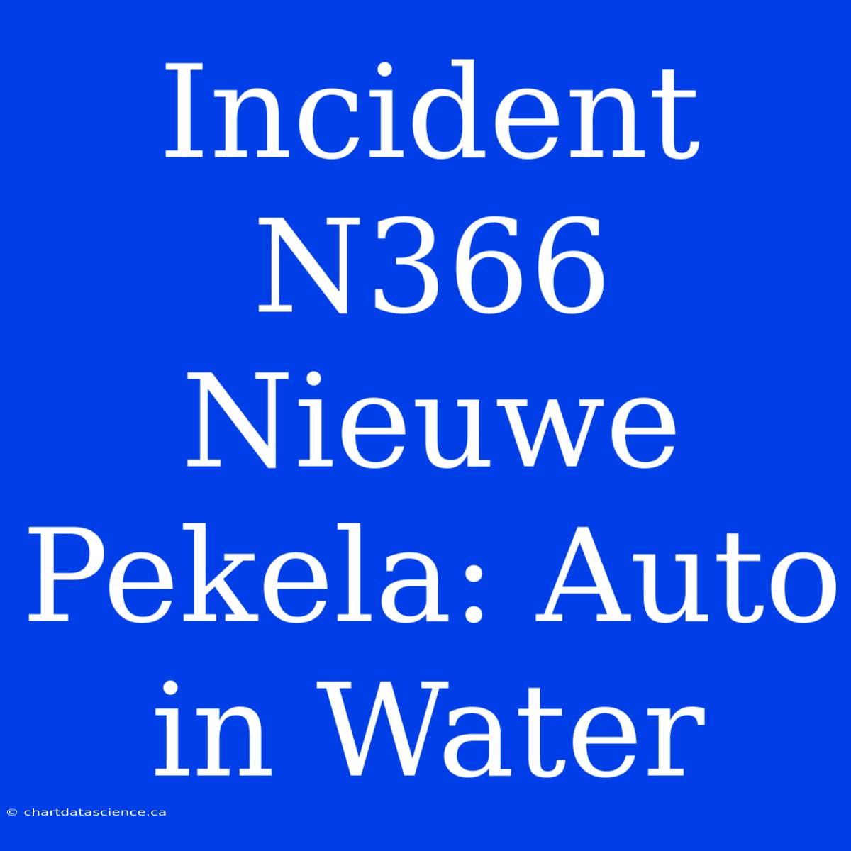 Incident N366 Nieuwe Pekela: Auto In Water