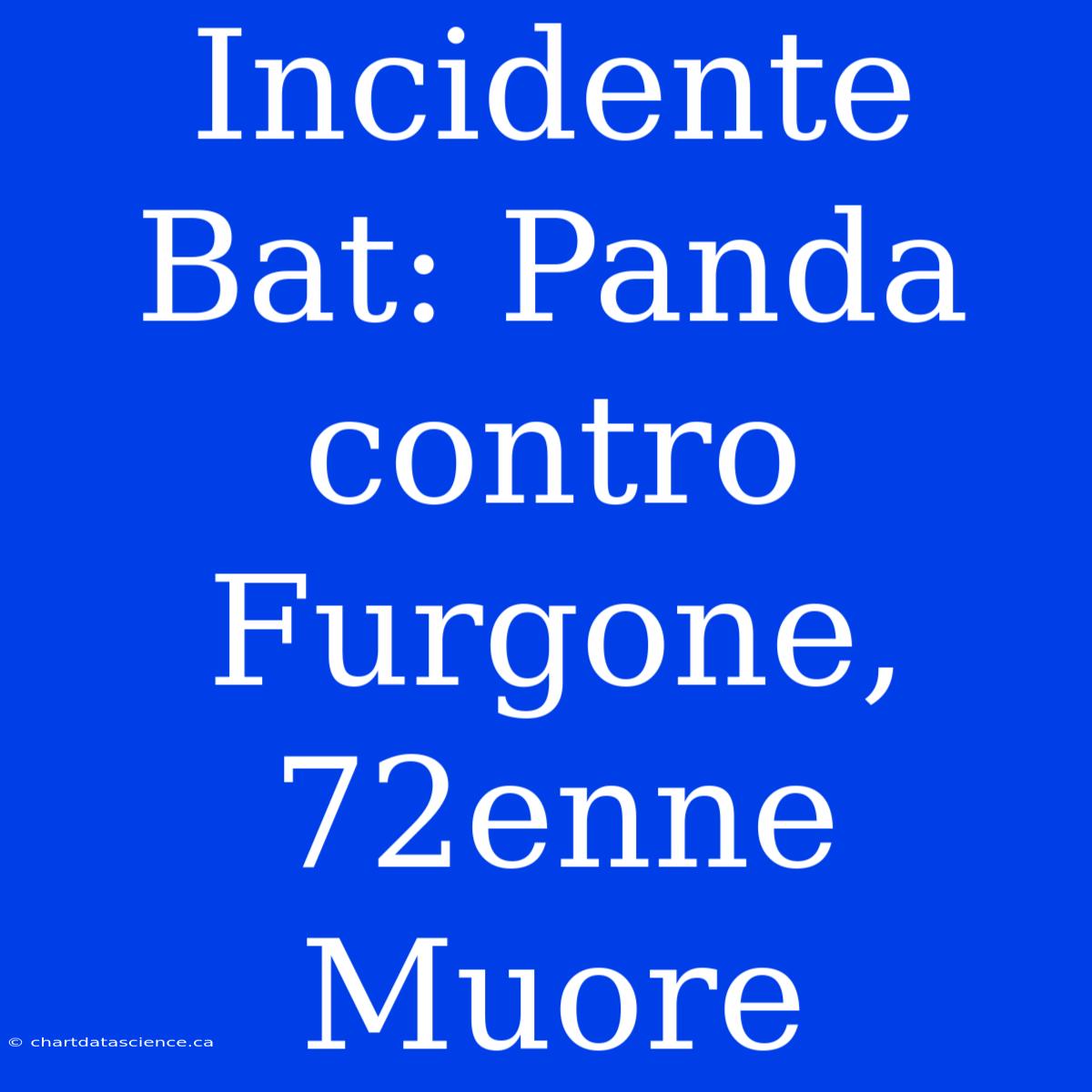 Incidente Bat: Panda Contro Furgone, 72enne Muore