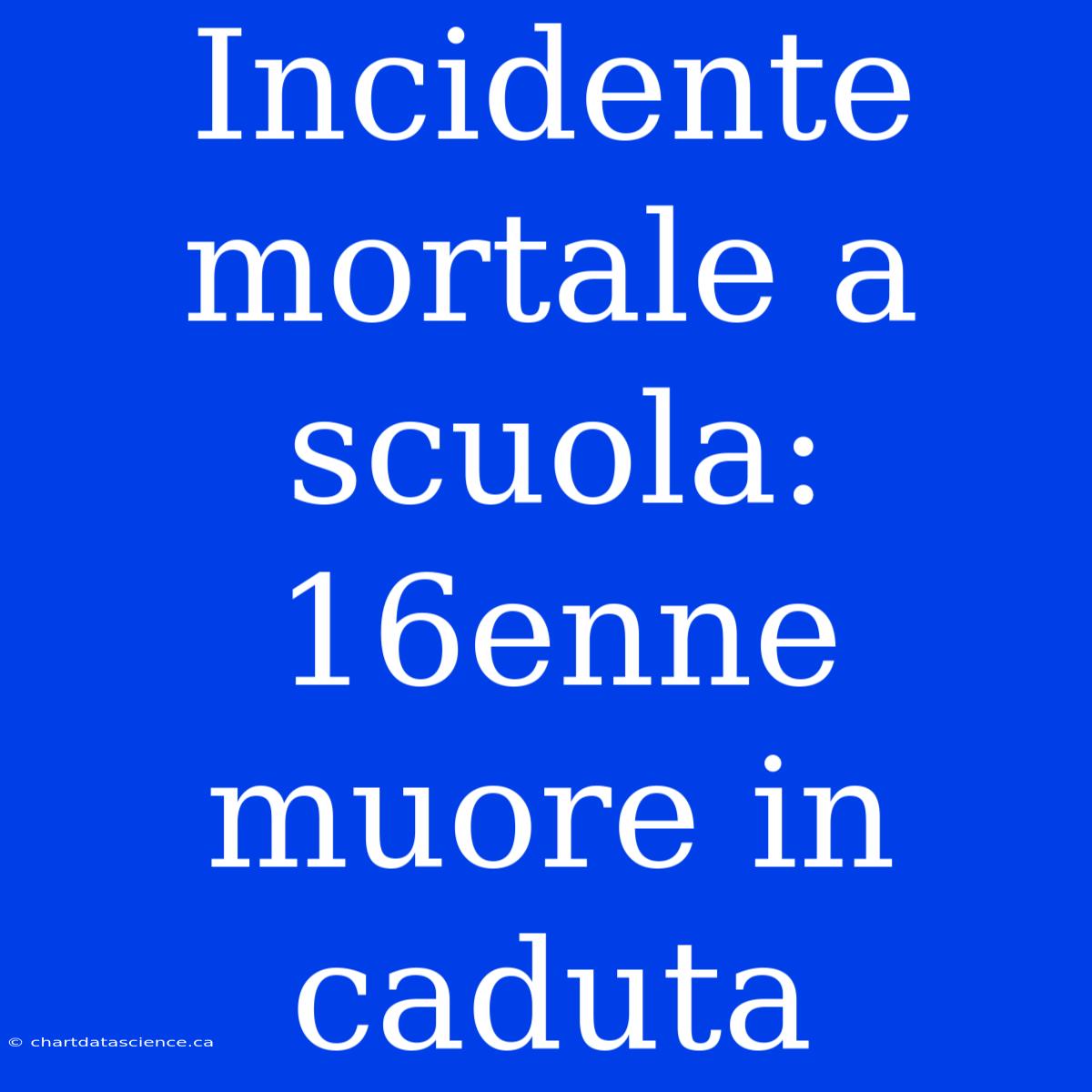 Incidente Mortale A Scuola: 16enne Muore In Caduta