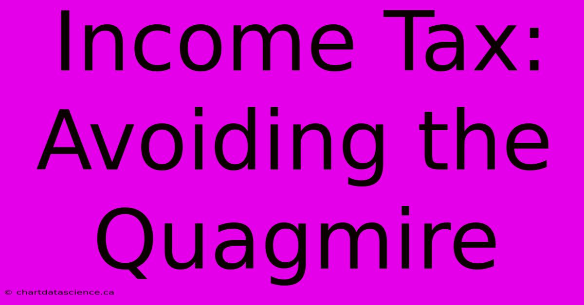 Income Tax: Avoiding The Quagmire 