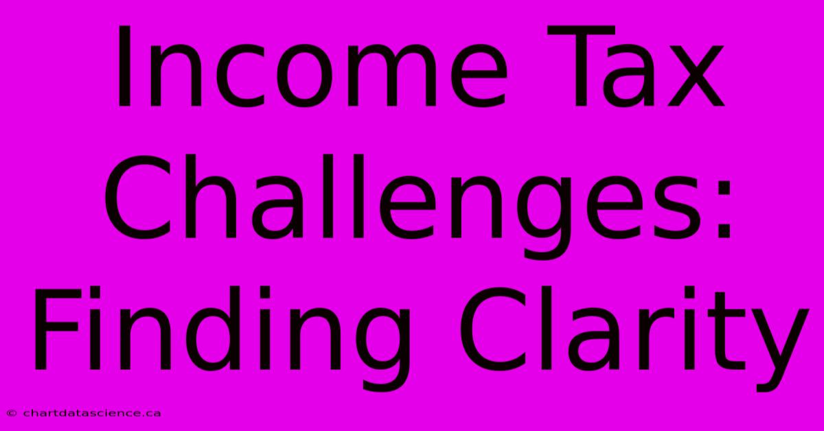 Income Tax Challenges: Finding Clarity