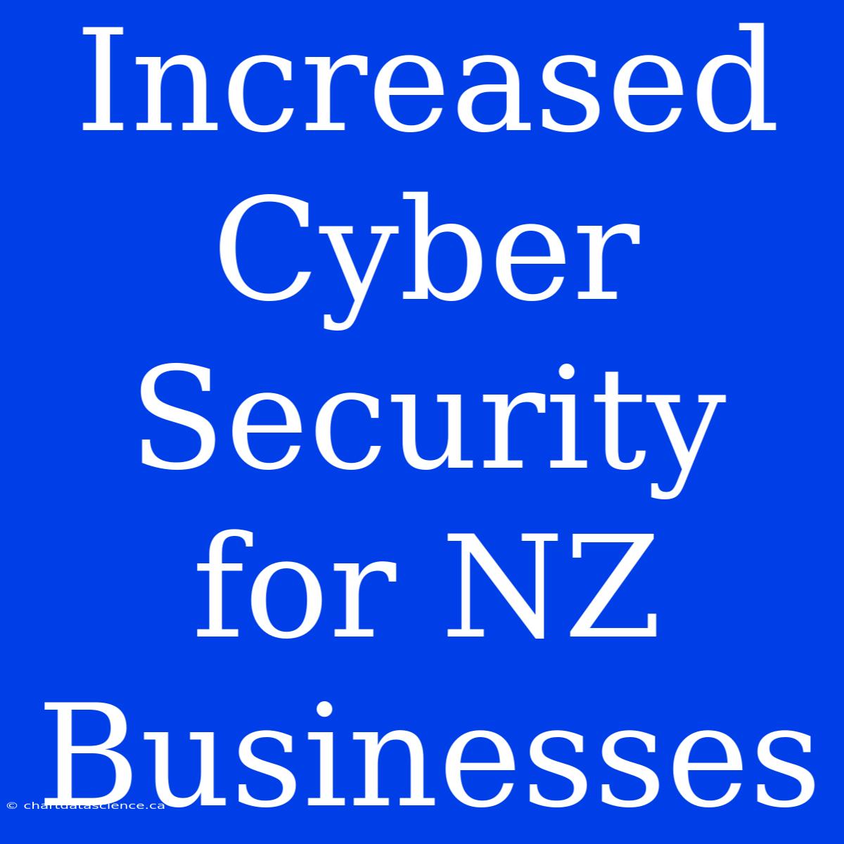 Increased Cyber Security For NZ Businesses