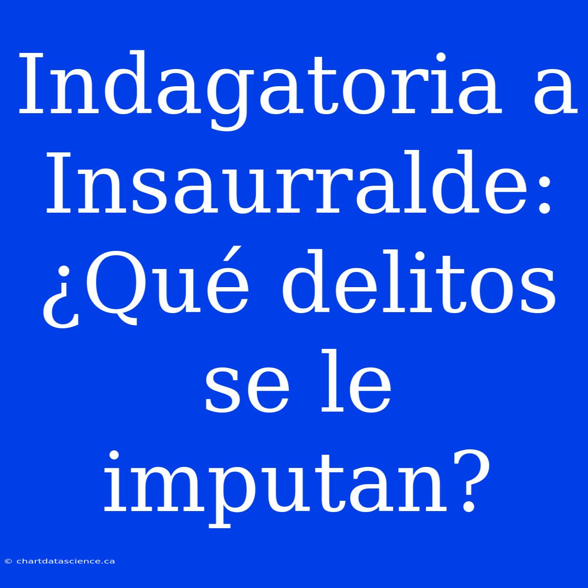 Indagatoria A Insaurralde: ¿Qué Delitos Se Le Imputan?