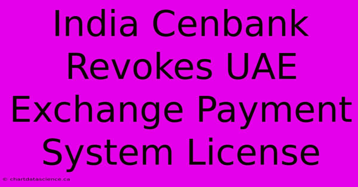 India Cenbank Revokes UAE Exchange Payment System License