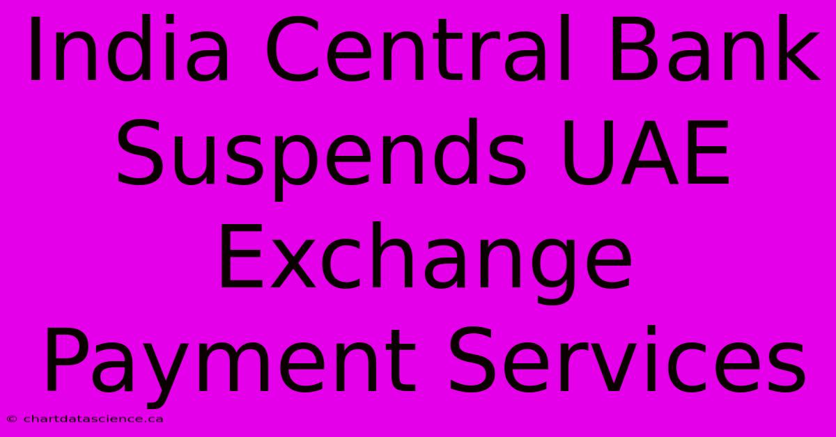 India Central Bank Suspends UAE Exchange Payment Services