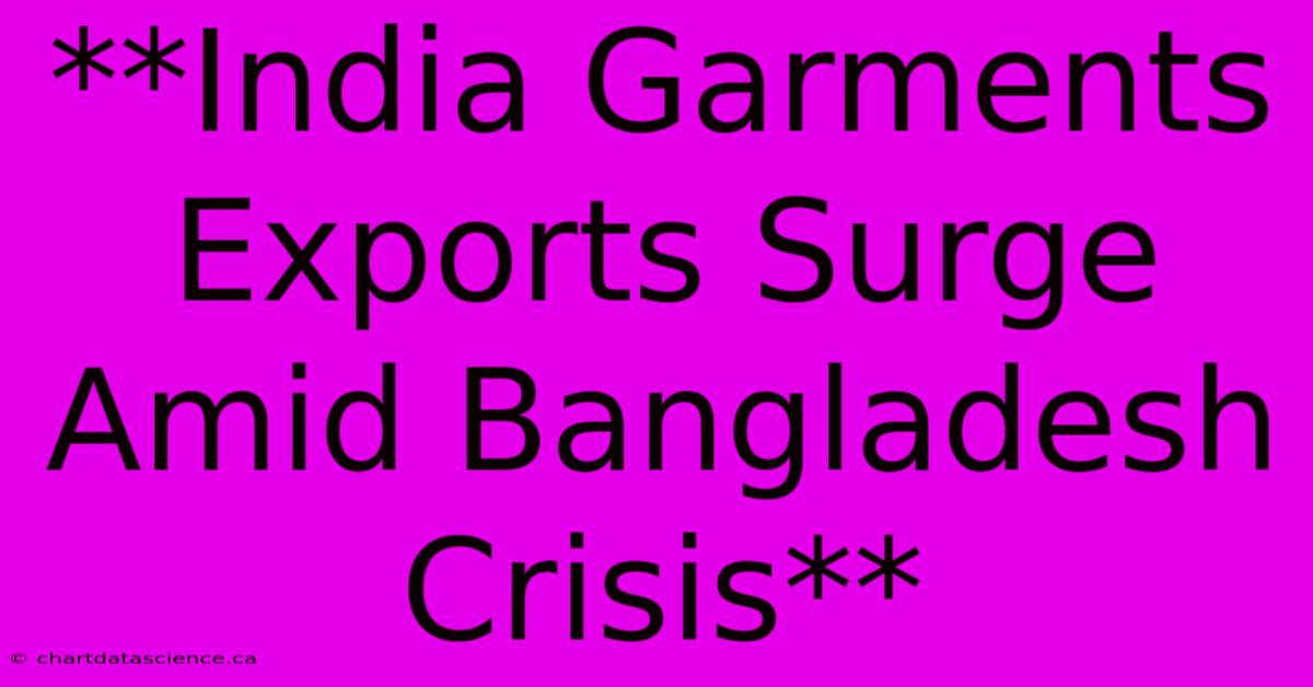 **India Garments Exports Surge Amid Bangladesh Crisis** 