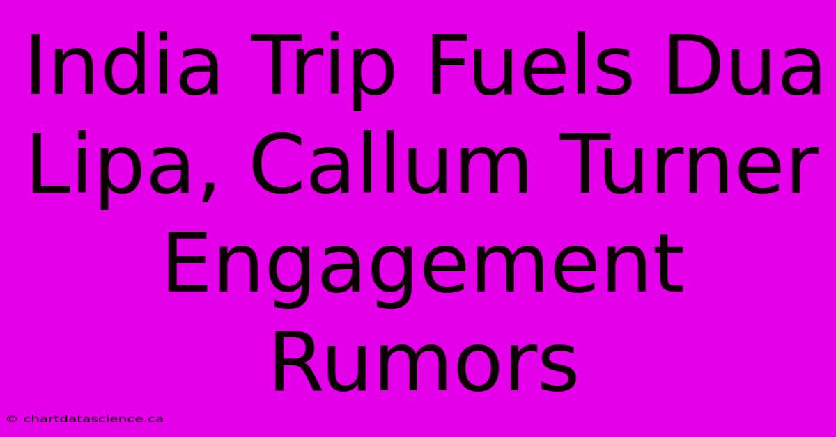 India Trip Fuels Dua Lipa, Callum Turner Engagement Rumors