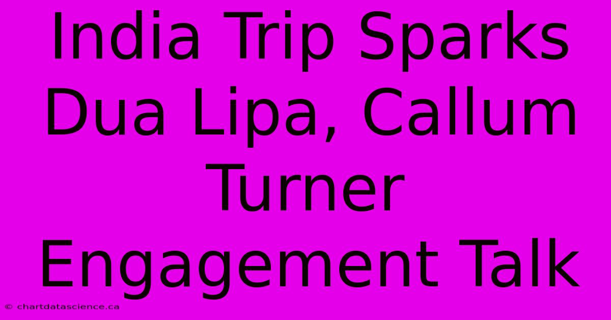 India Trip Sparks Dua Lipa, Callum Turner Engagement Talk