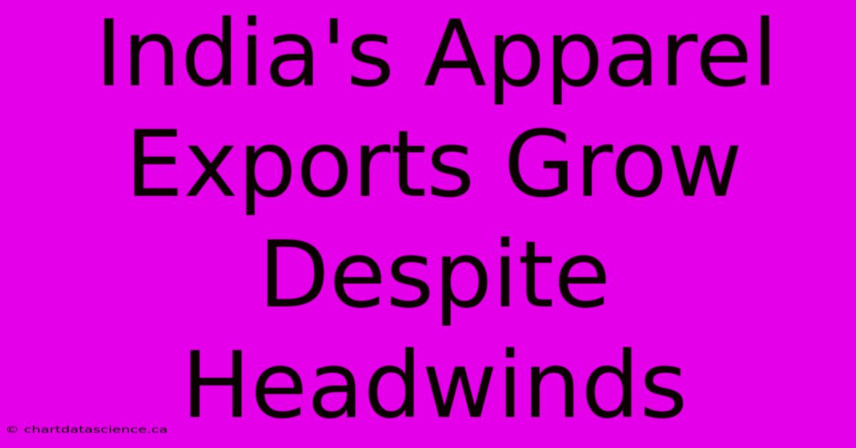 India's Apparel Exports Grow Despite Headwinds