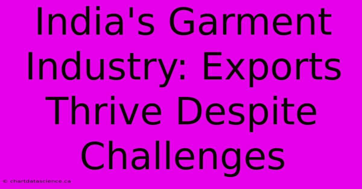 India's Garment Industry: Exports Thrive Despite Challenges 