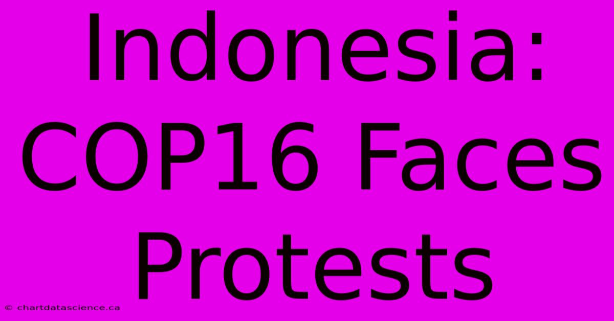 Indonesia: COP16 Faces Protests