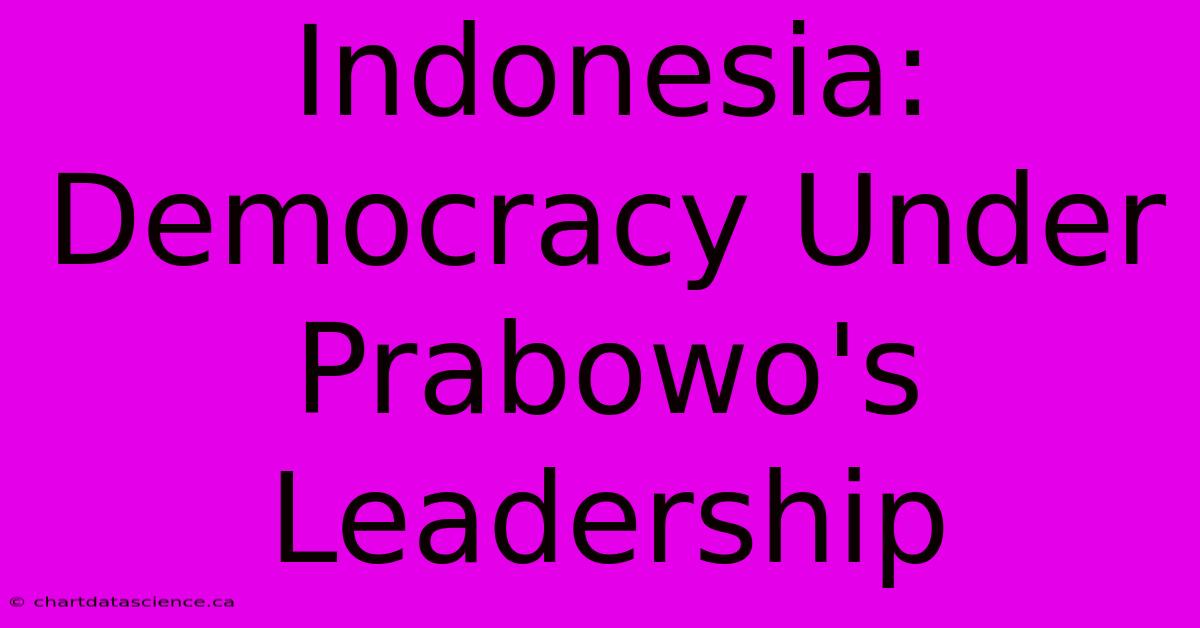 Indonesia:  Democracy Under Prabowo's Leadership 