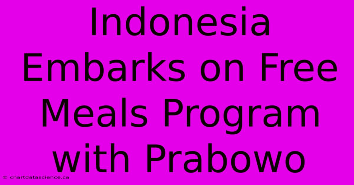 Indonesia Embarks On Free Meals Program With Prabowo