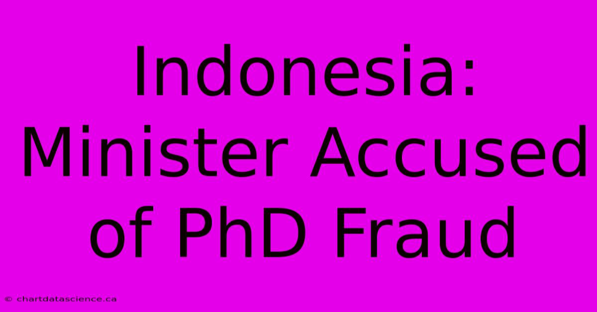 Indonesia: Minister Accused Of PhD Fraud