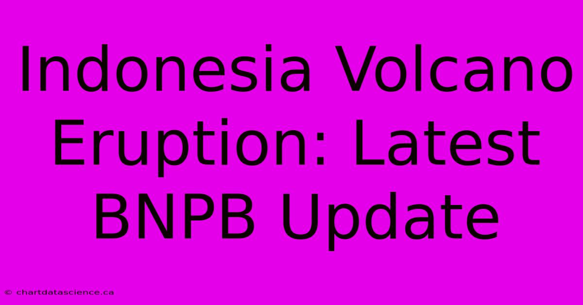 Indonesia Volcano Eruption: Latest BNPB Update