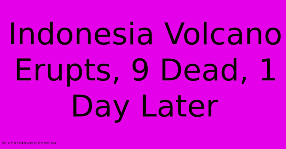 Indonesia Volcano Erupts, 9 Dead, 1 Day Later 