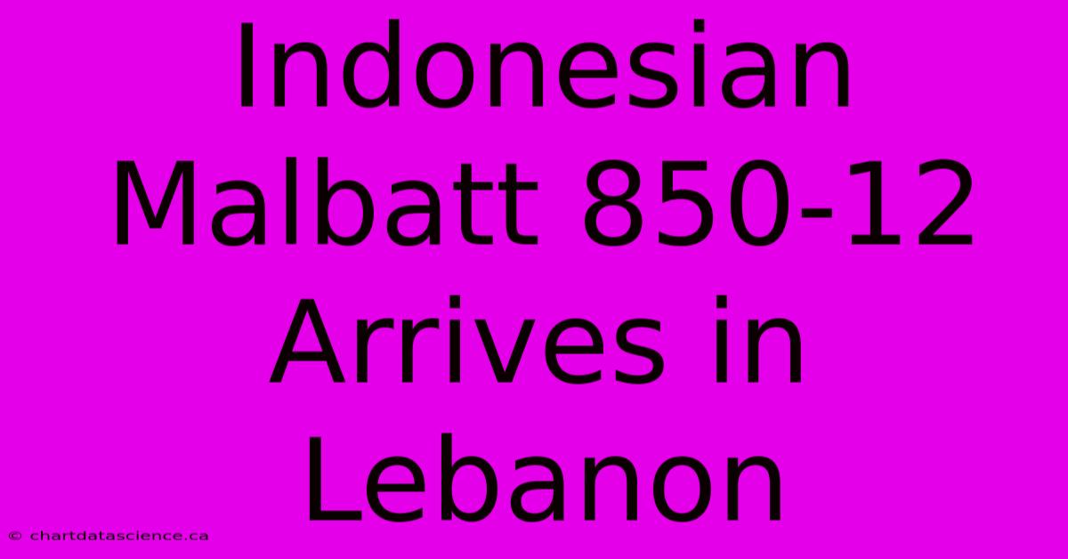 Indonesian Malbatt 850-12 Arrives In Lebanon