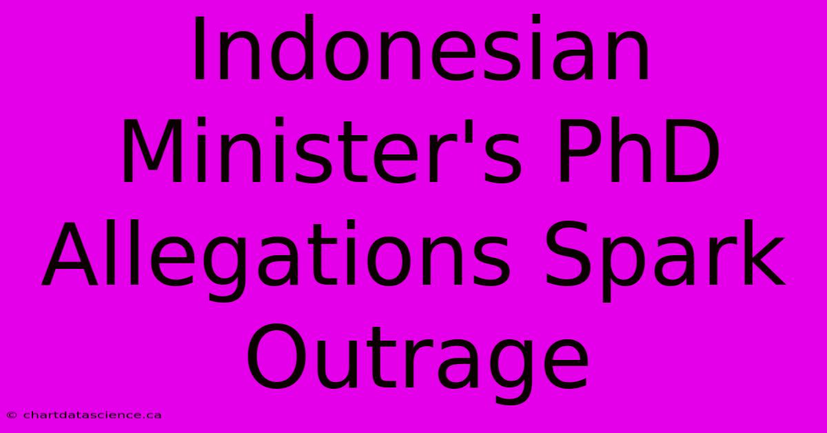 Indonesian Minister's PhD Allegations Spark Outrage