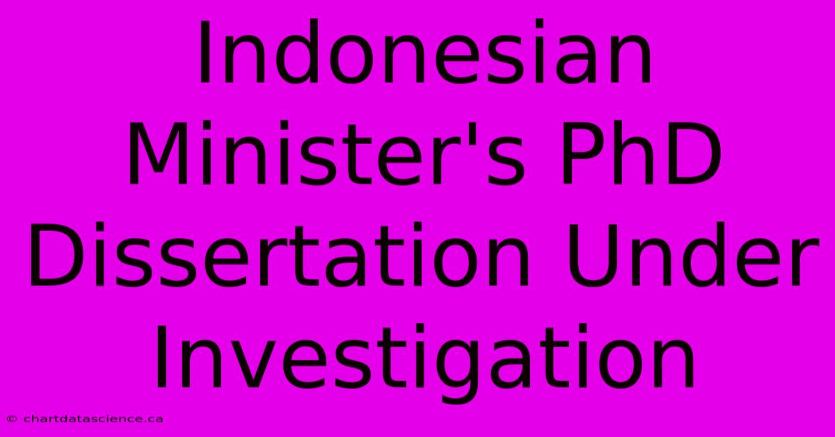 Indonesian Minister's PhD Dissertation Under Investigation 