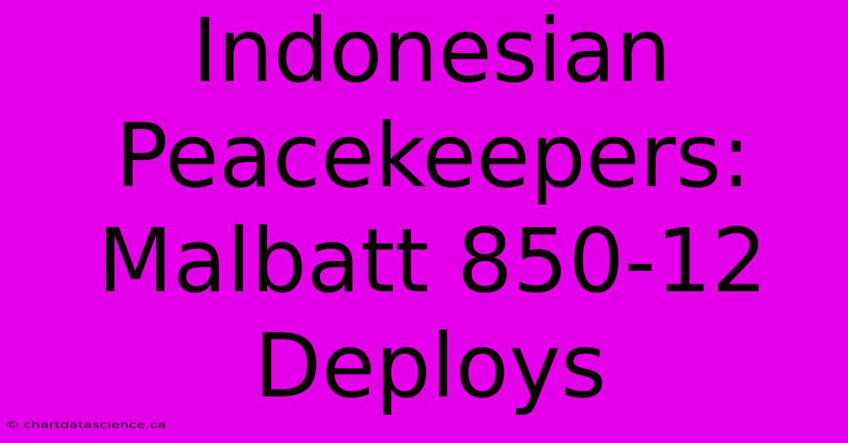 Indonesian Peacekeepers: Malbatt 850-12 Deploys