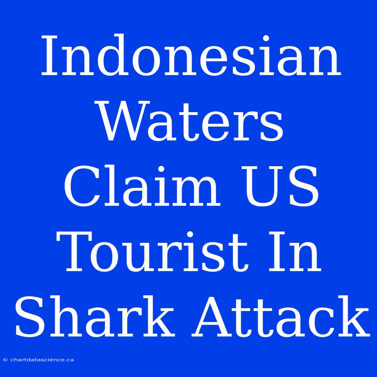 Indonesian Waters Claim US Tourist In Shark Attack