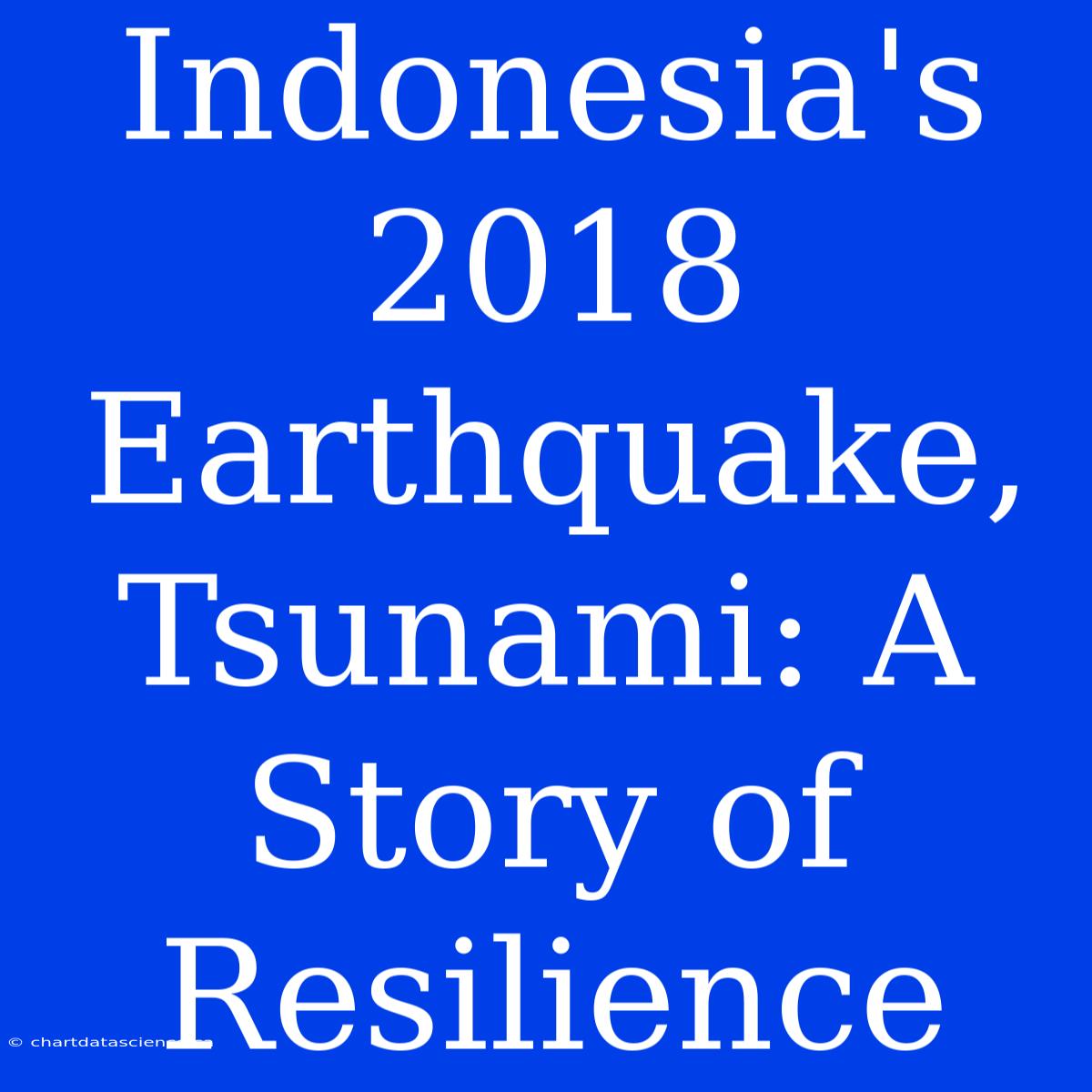 Indonesia's 2018 Earthquake, Tsunami: A Story Of Resilience