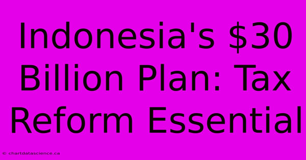 Indonesia's $30 Billion Plan: Tax Reform Essential