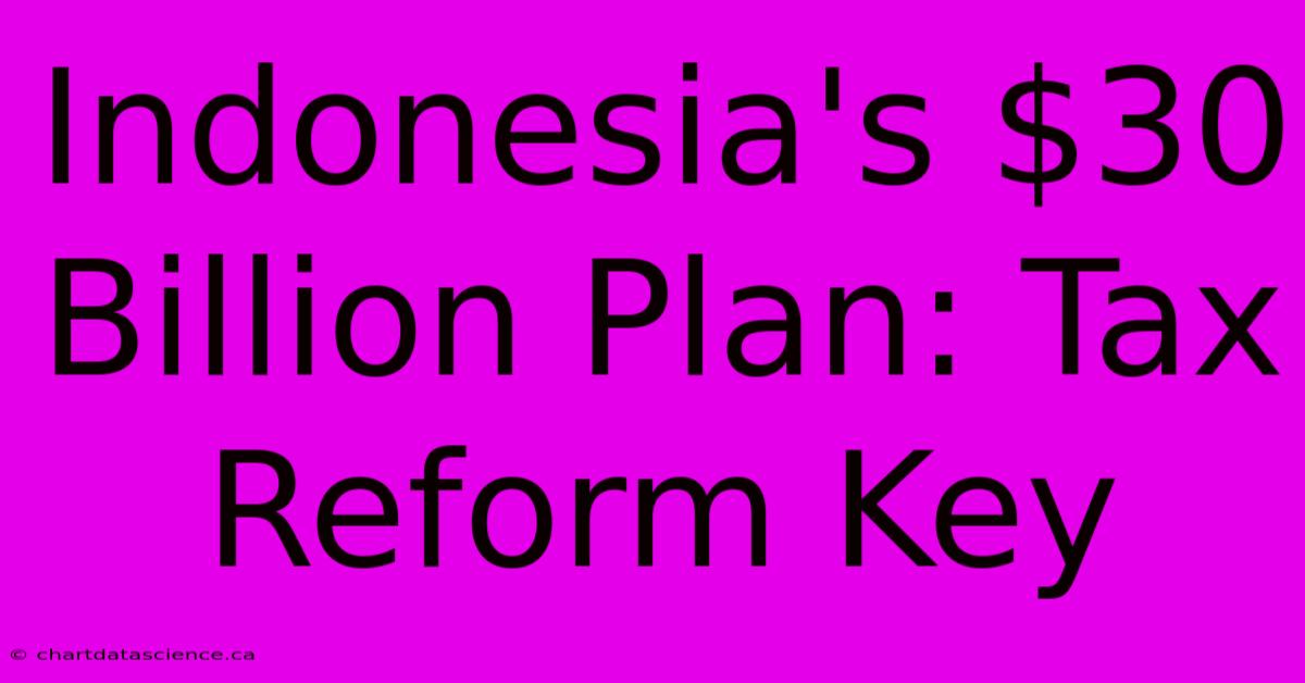 Indonesia's $30 Billion Plan: Tax Reform Key