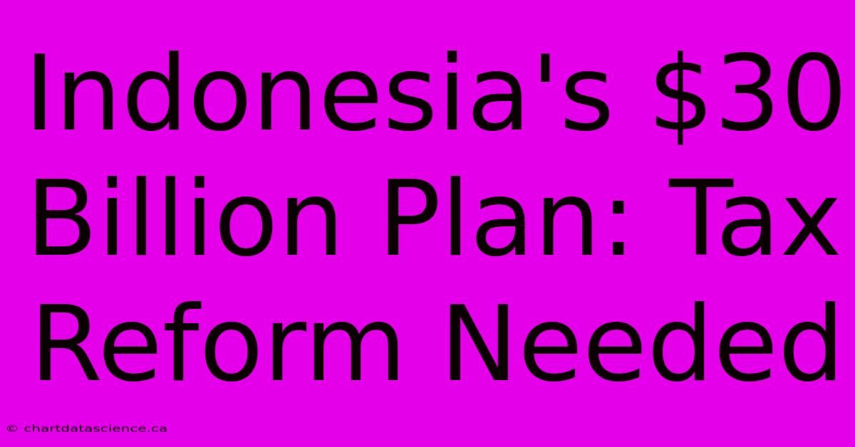 Indonesia's $30 Billion Plan: Tax Reform Needed