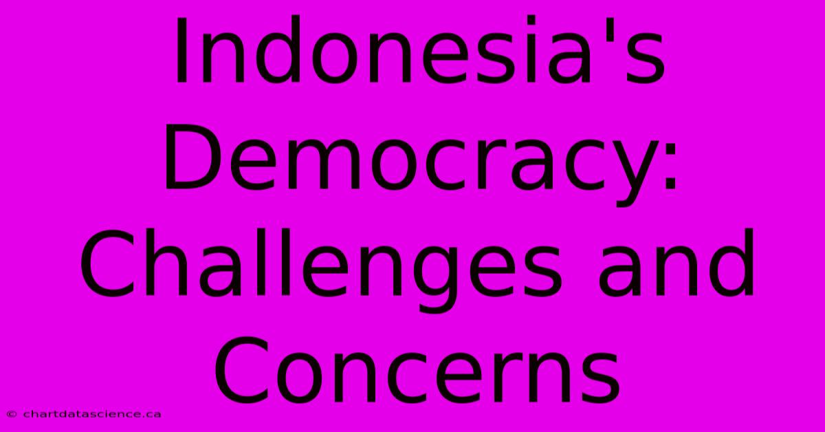 Indonesia's Democracy:  Challenges And Concerns