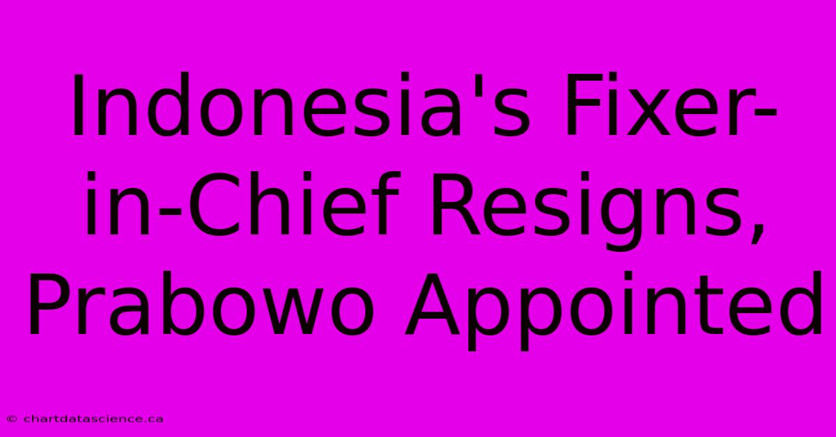 Indonesia's Fixer-in-Chief Resigns, Prabowo Appointed