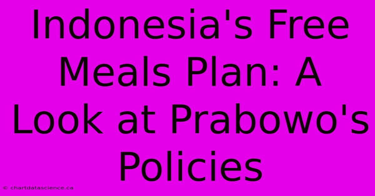 Indonesia's Free Meals Plan: A Look At Prabowo's Policies