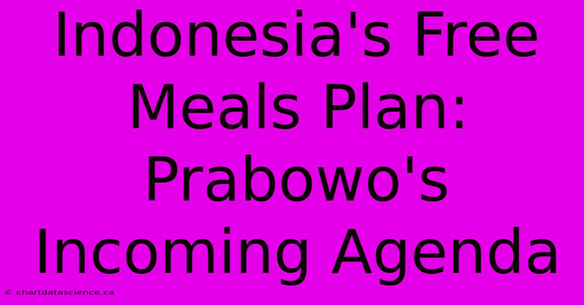 Indonesia's Free Meals Plan: Prabowo's Incoming Agenda